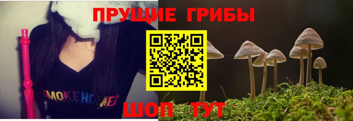 Псилоцибиновые грибы GOLDEN TEACHER Чехов