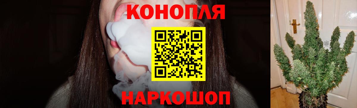 Бошки Шишки план  Вход с VPN  Конопля VHQ  МАРИХУАНА планчик  Чехов 